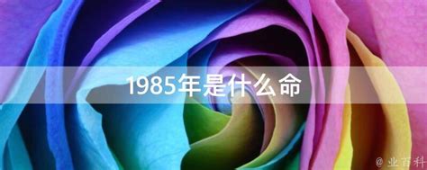 1985年什么命